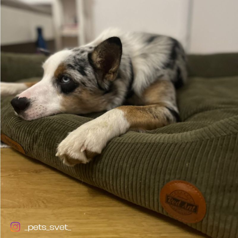 REDANT náhradná obliečka na pelech CORD zelená - Veľkosť: L