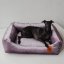 REDANT zamatový dog bed VELVET fialový - Size: S