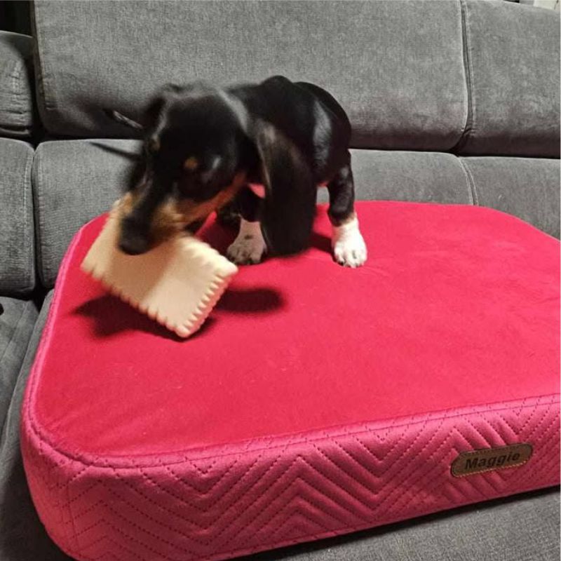 REDANT orthopedic dog bed with memory foam ORTHOPEDIC VELVET cyclamen - Size: S, Type of mattress: S pamäťovou penou