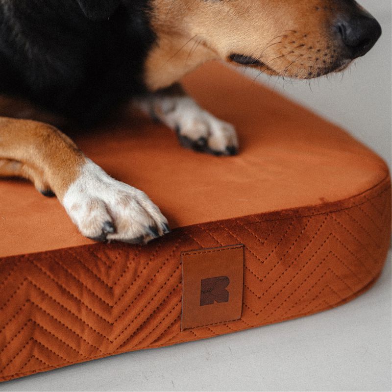 REDANT ortopedický pelíšek pro psa s paměťovou pěnou ORTHOPEDIC VELVET černý - Velikost: M, Druh matrace: S pamäťovou penou