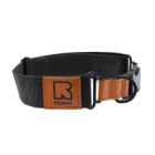 COLLARS AND LEASHES