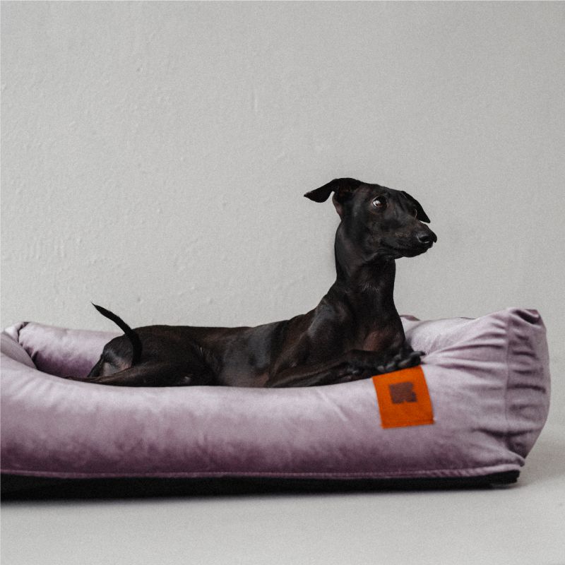 REDANT zamatový dog bed VELVET fialový - Size: S