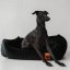 REDANT zamatový dog bed VELVET čierny - Size: S