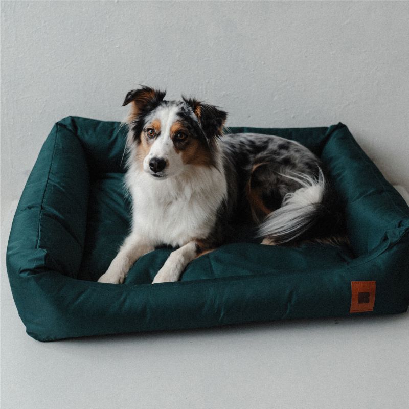 REDANT nepremokavý pelech pre psa CLASSIC zelený - Veľkosť: M