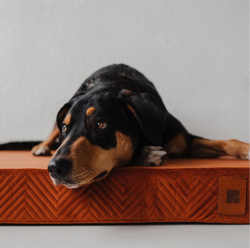 REDANT ortopedický pelech pre psa s pamäťovou penou ORTHOPEDIC VELVET škoricový - Veľkosť: L, Druh matracu: Bez pamäťovej peny