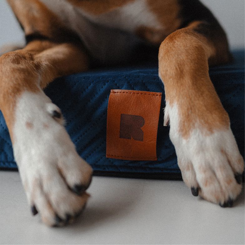 REDANT náhradní povlak na ortopedický pelíšek ORTHOPEDIC VELVET modrý