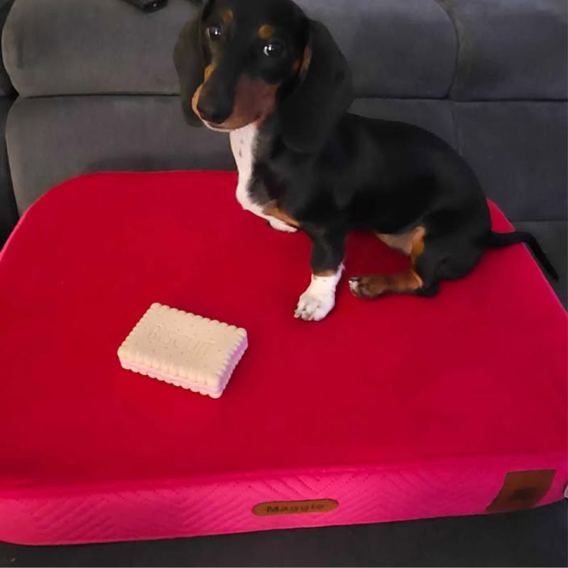 REDANT orthopedic dog bed with memory foam ORTHOPEDIC VELVET cyclamen - Size: S, Type of mattress: S pamäťovou penou