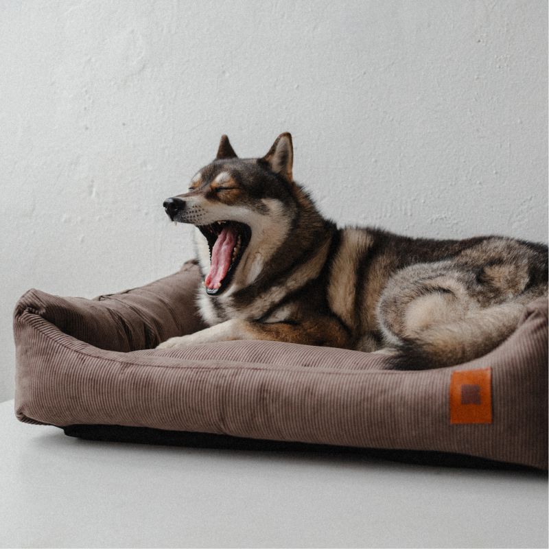 REDANT náhradní potah na pelech CORD béžový - Velikost: S