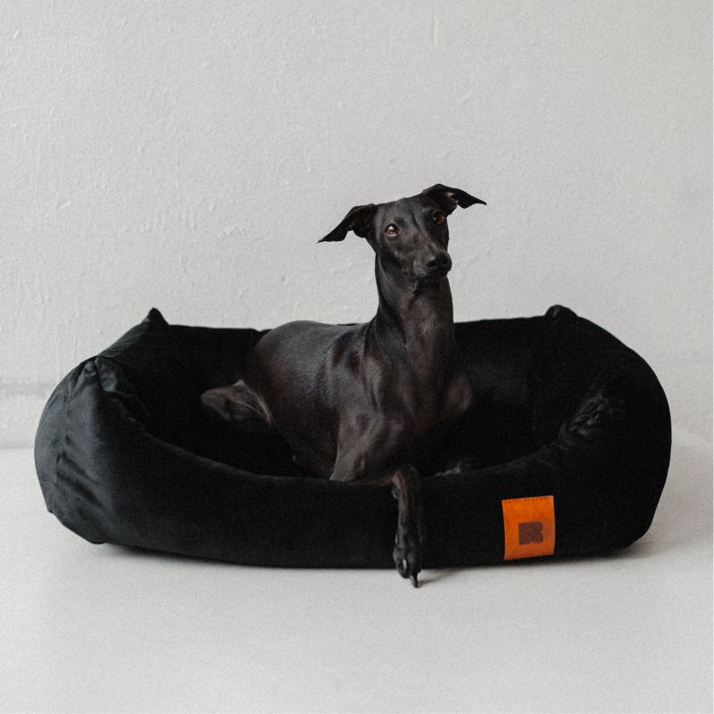 REDANT zamatový dog bed VELVET čierny - Size: S