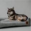 REDANT menčestrový dog bed CORD sivý - Size: S