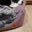 REDANT dog bed with memory foam DELUXE purple - Size: L