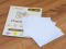 New product alert: hypoallergenic laundry strips for dog beds and clothing