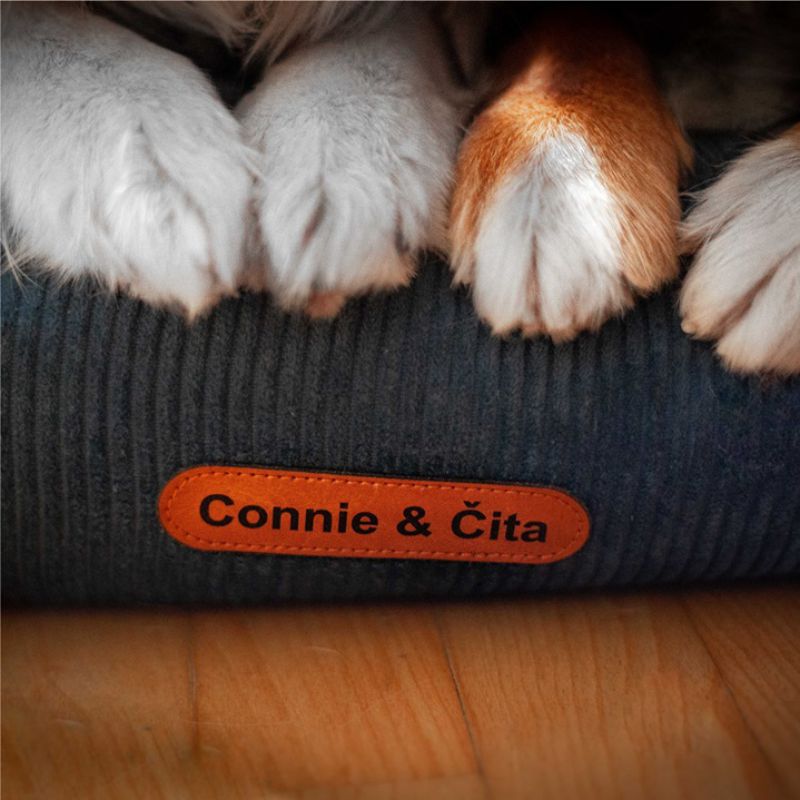 REDANT náhradná obliečka na ortopedický pelech ORTHOPEDIC CORD modrá