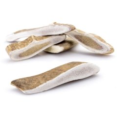 Danielí paroh pre psa S 10–50 g