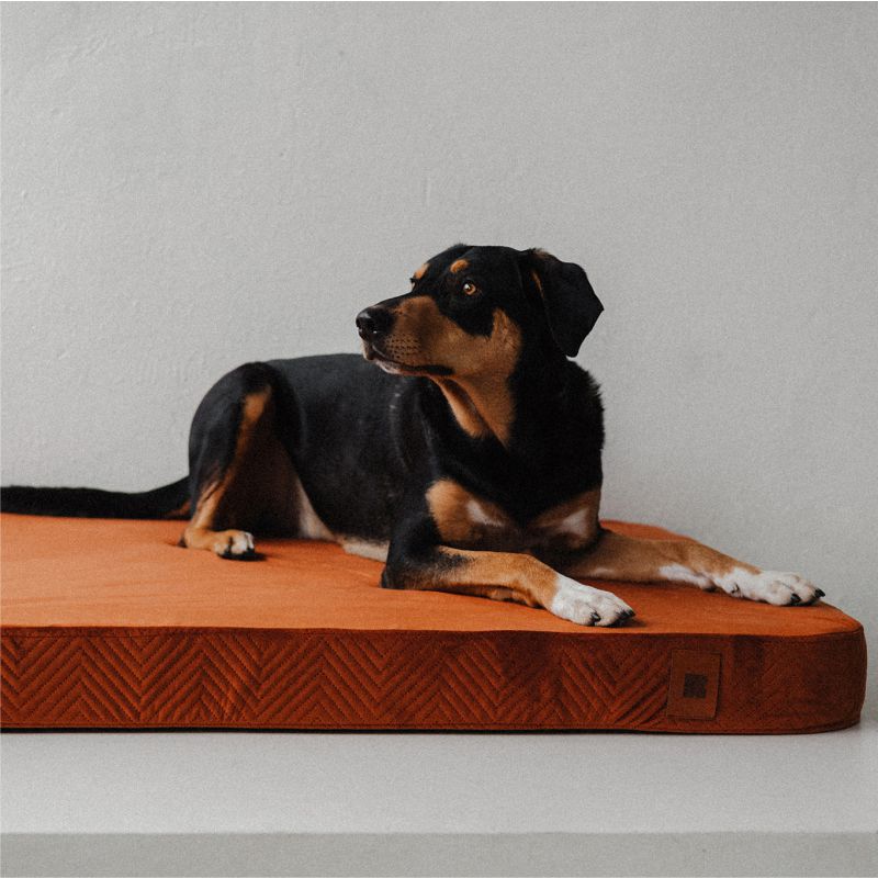 REDANT ortopedický pelech pre psa s pamäťovou penou ORTHOPEDIC VELVET škoricový - Veľkosť: L, Druh matracu: Bez pamäťovej peny