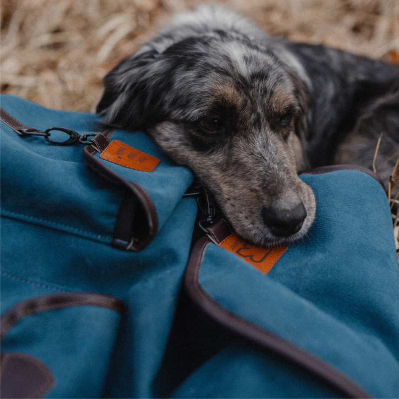 REDANT cestovní batoh DELUXE modrý 35L