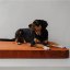 REDANT orthopedic dog bed with memory foam ORTHOPEDIC VELVET cinnamon