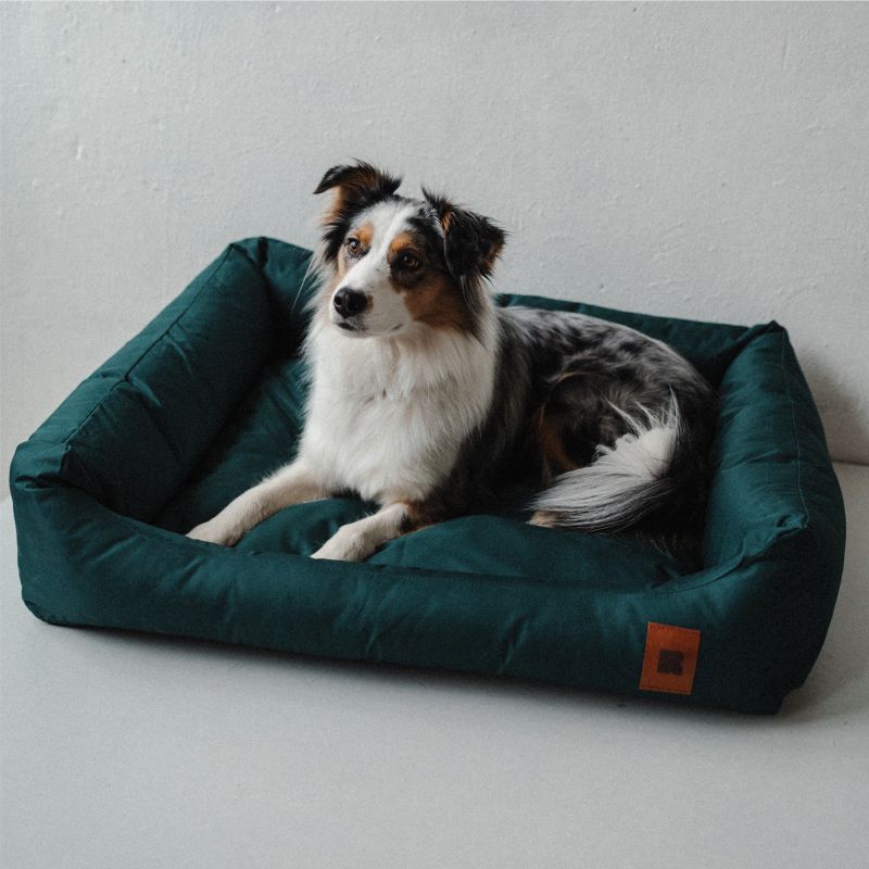 REDANT nepremokavý pelech pre psa CLASSIC zelený - Veľkosť: M