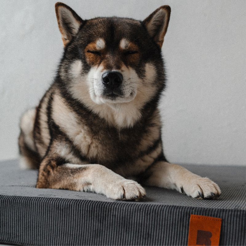 REDANT ortopedický pelíšek pro psa s paměťovou pěnou ORTHOPEDIC CORD antracitový - Velikost: S, Druh matrace: S pamäťovou penou