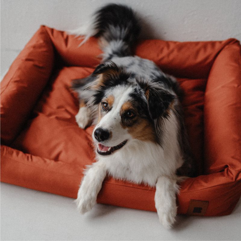 REDANT waterproof dog bed CLASSIC tehlový - Size: XL