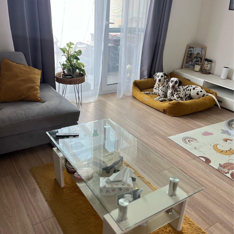 REDANT pelíšek pro psa s paměťovou pěnou DELUXE žlutý - Velikost: M