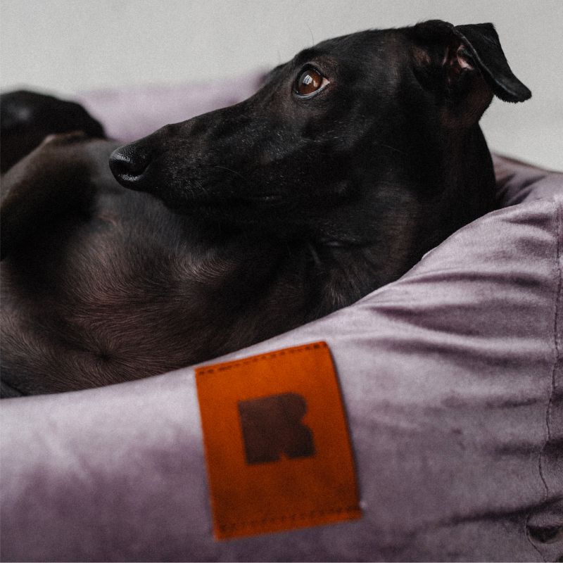 REDANT zamatový dog bed VELVET fialový - Size: S