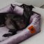REDANT zamatový dog bed VELVET fialový - Size: S