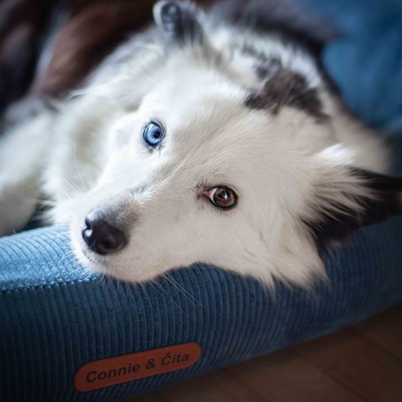 REDANT menčestrový dog bed CORD petrolejový - Size: M