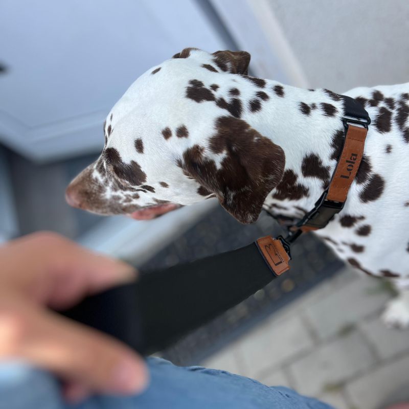 REDANT luxury black dog collar - Size: XL, Version: Obojok