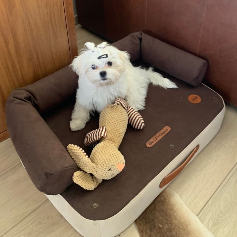 REDANT náhradní potah na ortopedický pelech ORTHOPEDIC DELUXE krémovo-čokoládový - Velikost: S