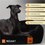 REDANT zamatový dog bed VELVET čierny - Size: S
