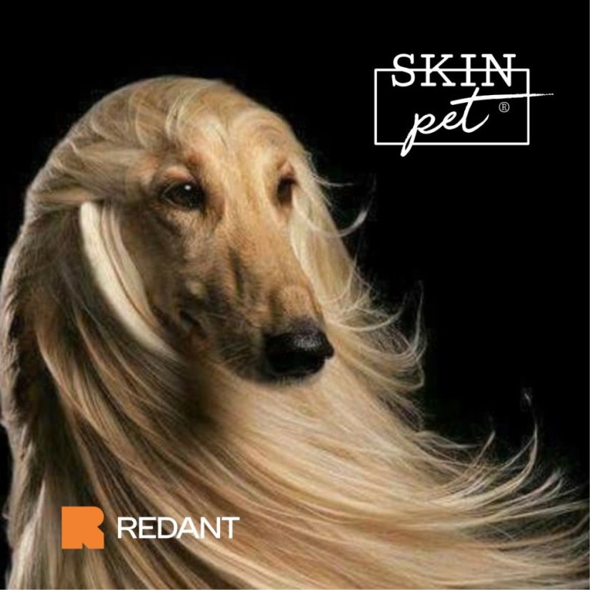 SkinPET Chlorhex Shampoo 0,5% 236 ml