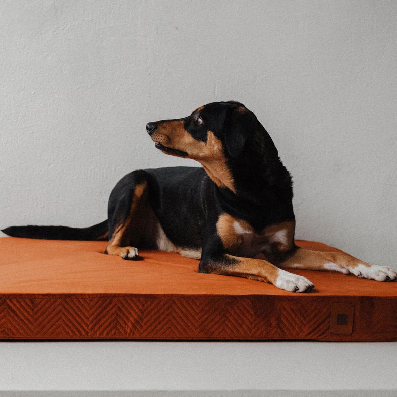 REDANT ortopedický pelech pre psa s pamäťovou penou ORTHOPEDIC VELVET škoricový - Veľkosť: L, Druh matracu: Bez pamäťovej peny