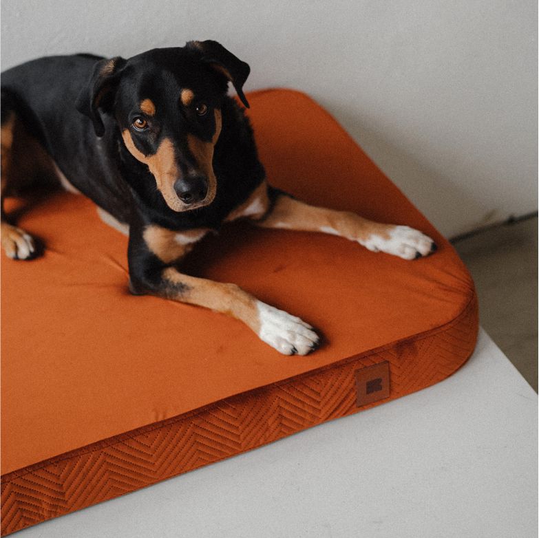 REDANT ortopedický pelech pre psa s pamäťovou penou ORTHOPEDIC VELVET zelený