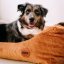 REDANT menčestrový dog bed CORD koňakový - Size: L