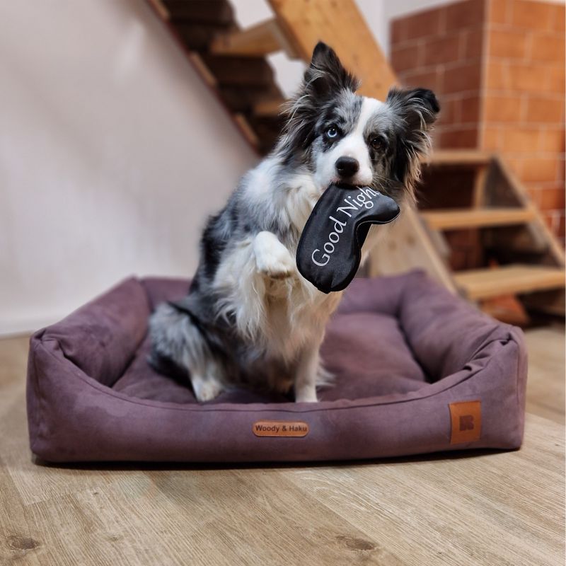 REDANT dog bed with memory foam DELUXE purple - Size: L