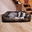 REDANT dog bed with memory foam DELUXE chocolate - Size: L