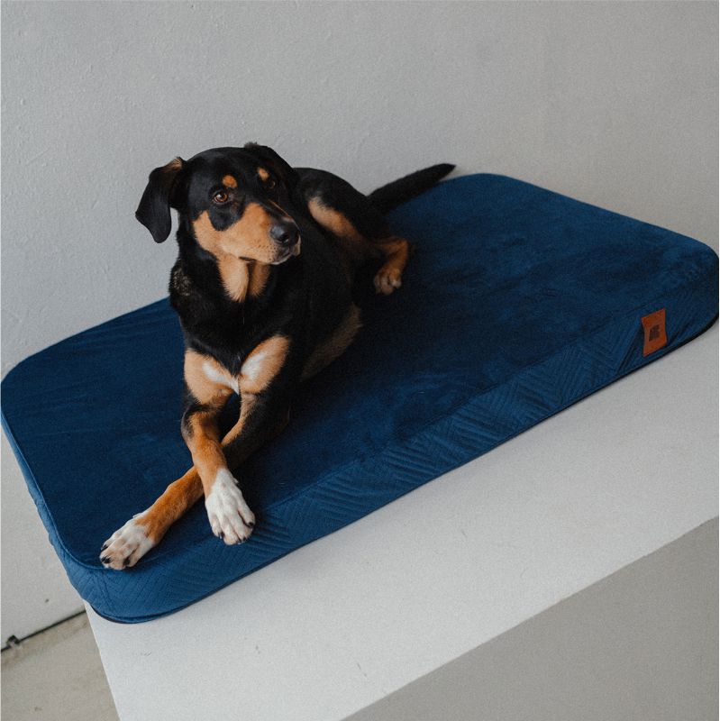 REDANT replacement cover for orthopedic bed ORTHOPEDIC VELVET blue - Size: L
