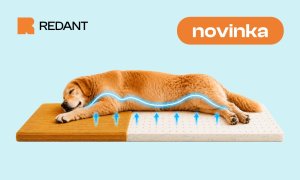 Novinka REDANT: Latexové jádro s chladicím gelem pro maximální komfort psa