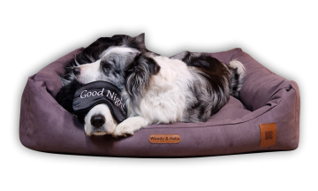 DOG BEDS REDANT - Option To Replace Inner Cushions - yes