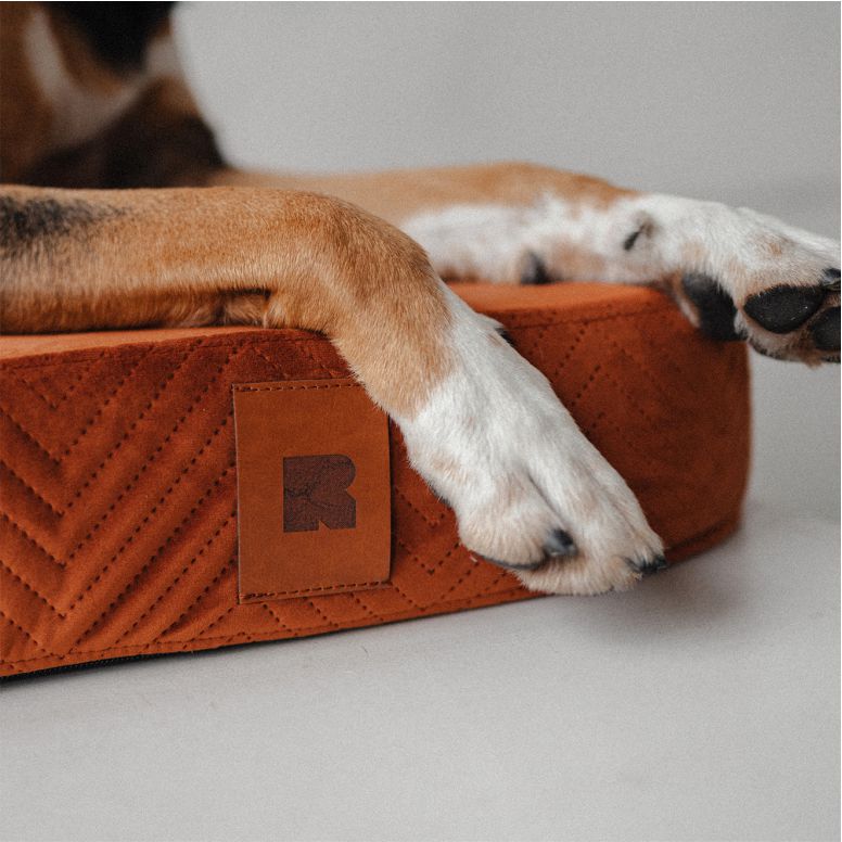 REDANT ortopedický pelech pre psa s pamäťovou penou ORTHOPEDIC VELVET škoricový - Veľkosť: L, Druh matracu: Bez pamäťovej peny