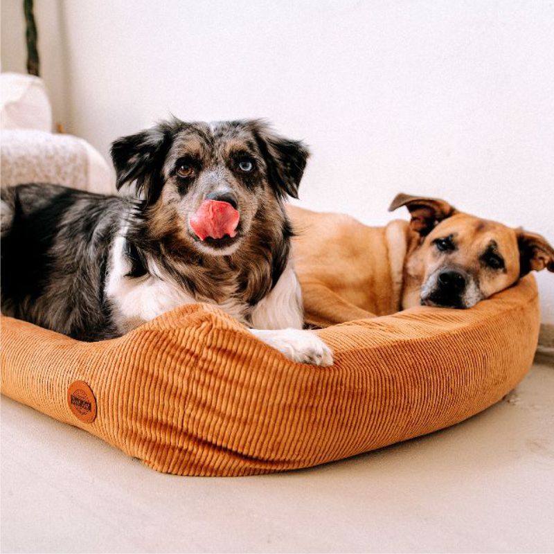 REDANT menčestrový dog bed CORD koňakový - Size: L