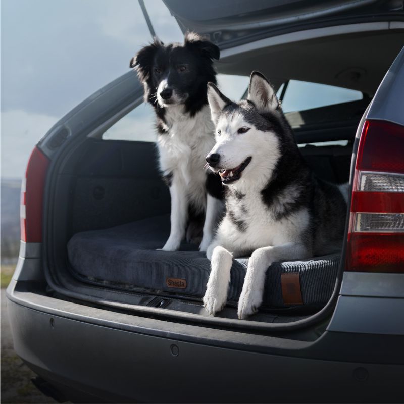 REDANT ortopedický pelíšek pro psa s paměťovou pěnou ORTHOPEDIC CORD antracitový - Velikost: S, Druh matrace: S pamäťovou penou