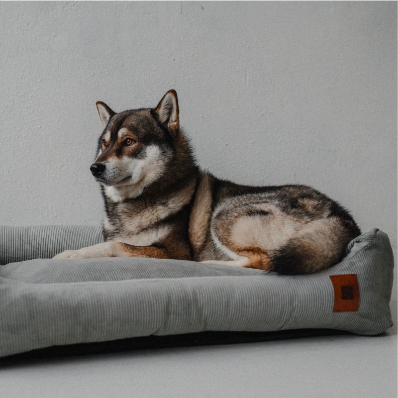 REDANT menčestrový dog bed CORD sivý - Size: S