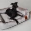 REDANT zamatový dog bed VELVET sivý - Size: M
