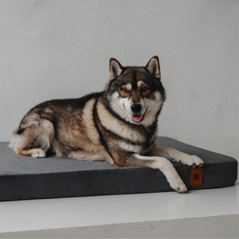 REDANT ortopedický pelíšek pro psa s paměťovou pěnou ORTHOPEDIC CORD antracitový - Velikost: S, Druh matrace: S pamäťovou penou