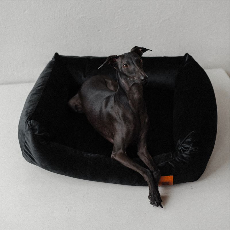REDANT zamatový dog bed VELVET čierny - Size: S