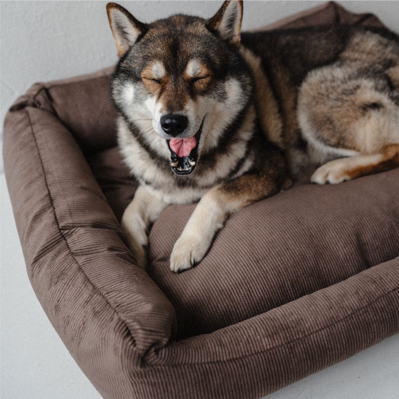 REDANT menčestrový dog bed CORD čokoládový
