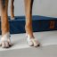 REDANT replacement cover for orthopedic bed ORTHOPEDIC VELVET blue - Size: L