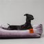 REDANT zamatový dog bed VELVET fialový - Size: S